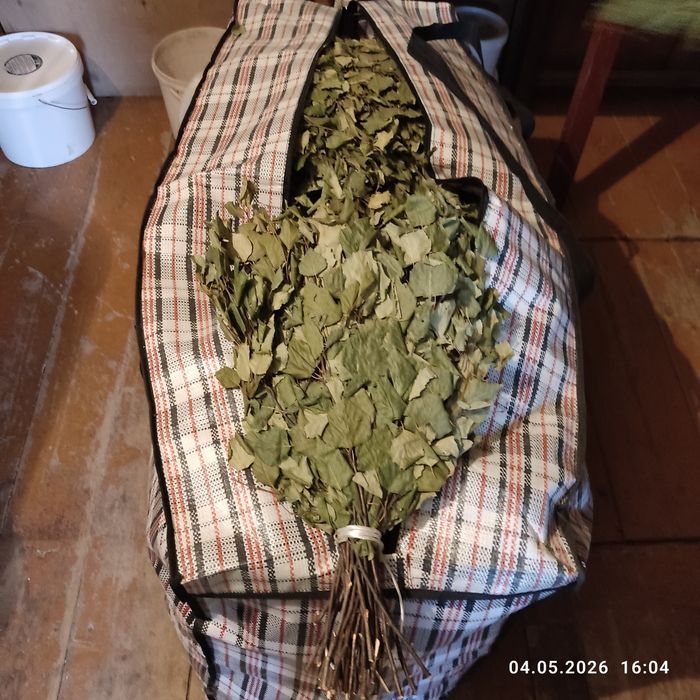 Банные берёзовые веники
