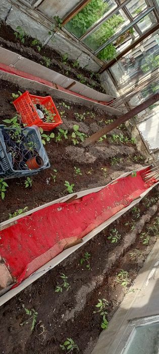 Продаю срочно дачу ДО МИЧУРИНЕЦ