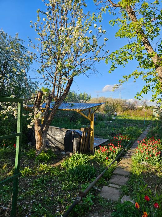 Продам дачу в районе Акжар-2