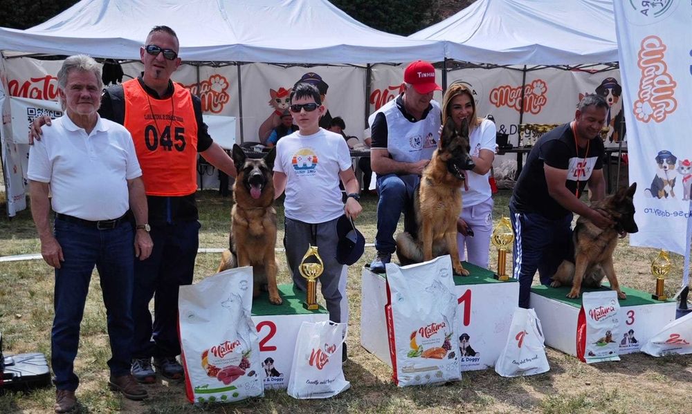 Pui de Ciobanesc German de la Canisa autorizata