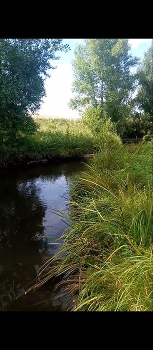 Продам дачу акимовка около молодёжный