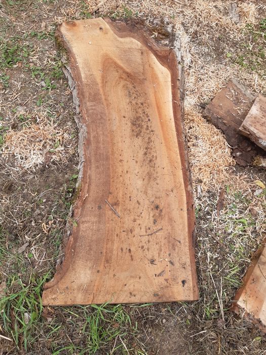 Lemn nuc pentru prelucrare masuta cafea si foastan taiat de nuc 5cm+-