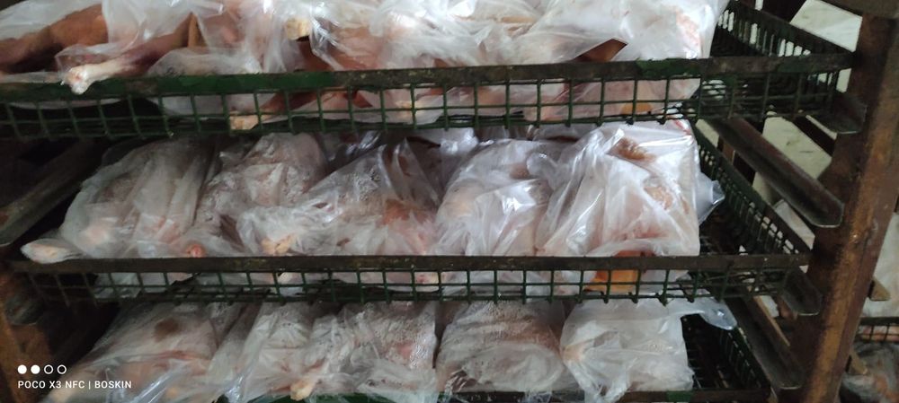 Куры несушки потрашеные