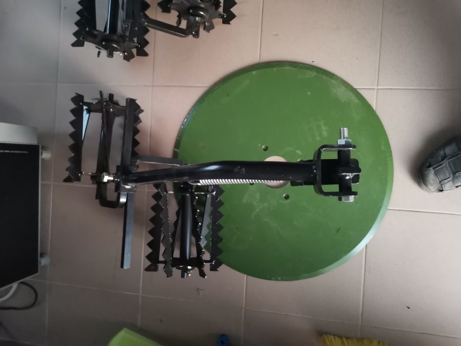 Tavalugi prasitoare rarita