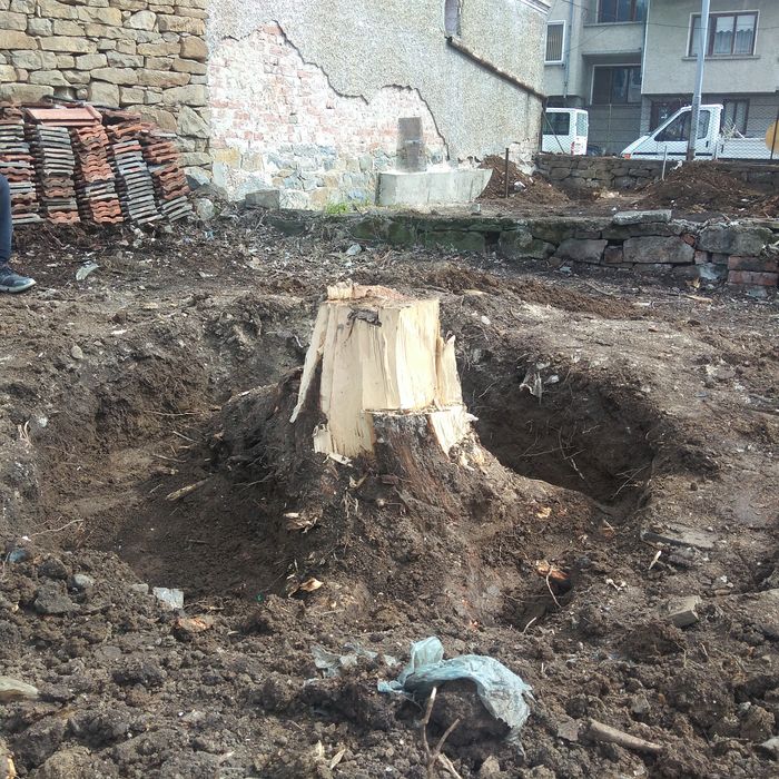 Косене на трева. Разчистване на запустели имоти