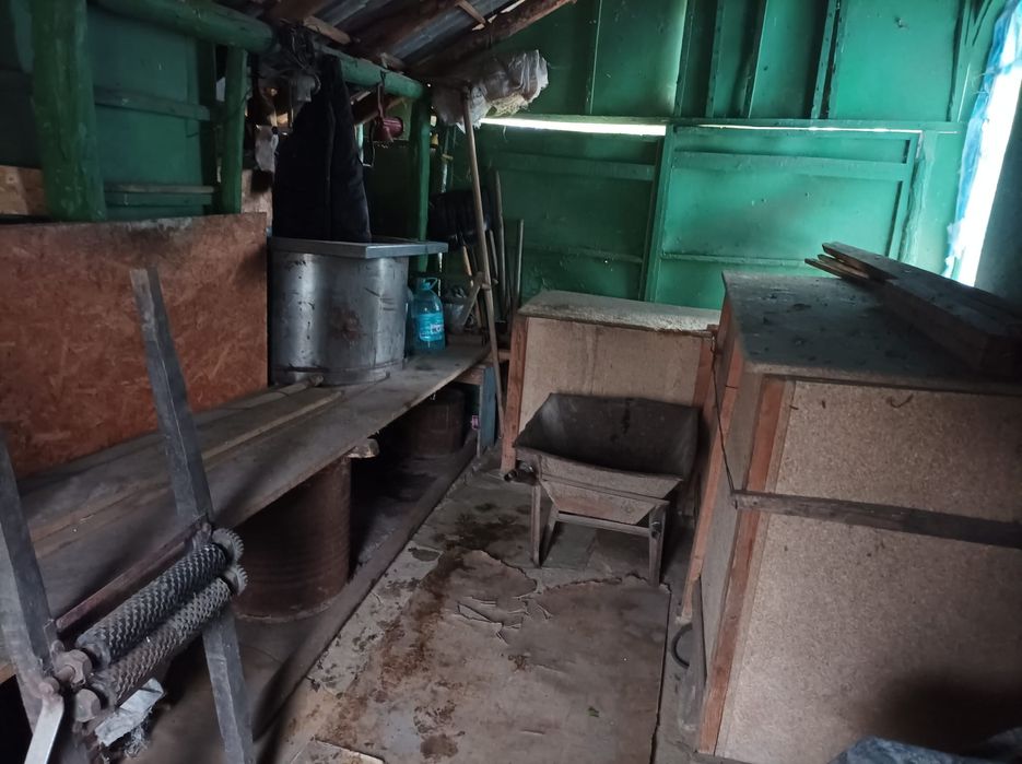 Casă bătrânească cu teren 3.500 mp, vie, pomi și utilități – ideală pe