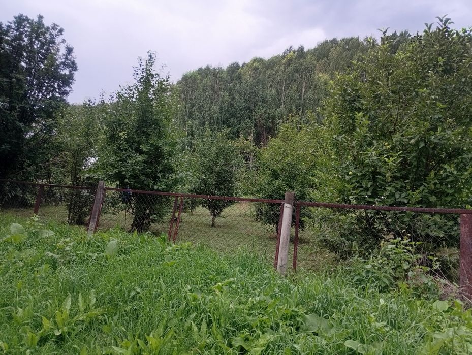 Дача с пасекой (за Тарханкой)