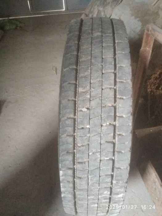 Holati ideal kami bor