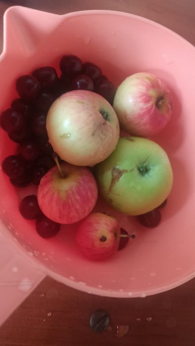 Продам дачу в районе Ахмирово