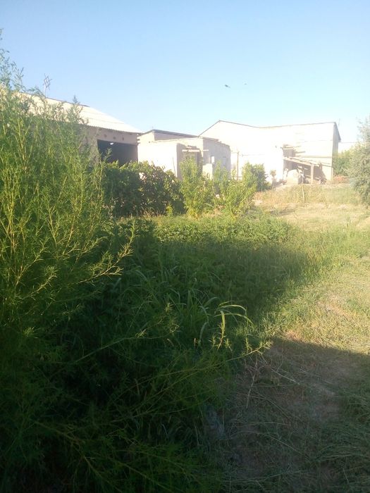 Ховли сотилади 15 соток