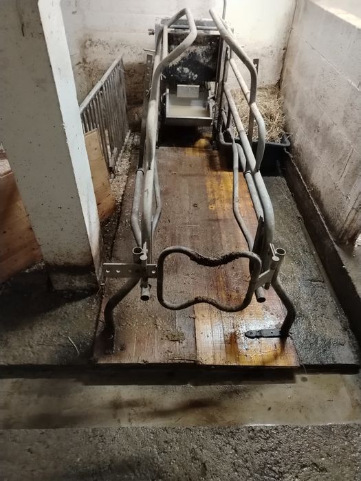 Boxa fatari scroafe cu hranitoare si adapatoare!