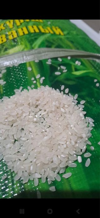 Лидек ак куриши сатылады