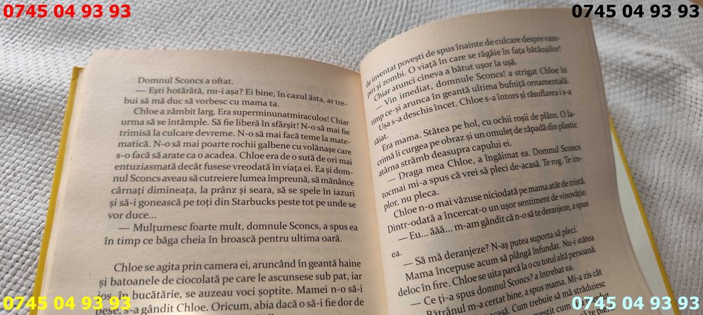 carte carti domnul sconcs David Walliams