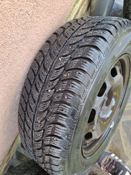 195/65R15 rulate putin!