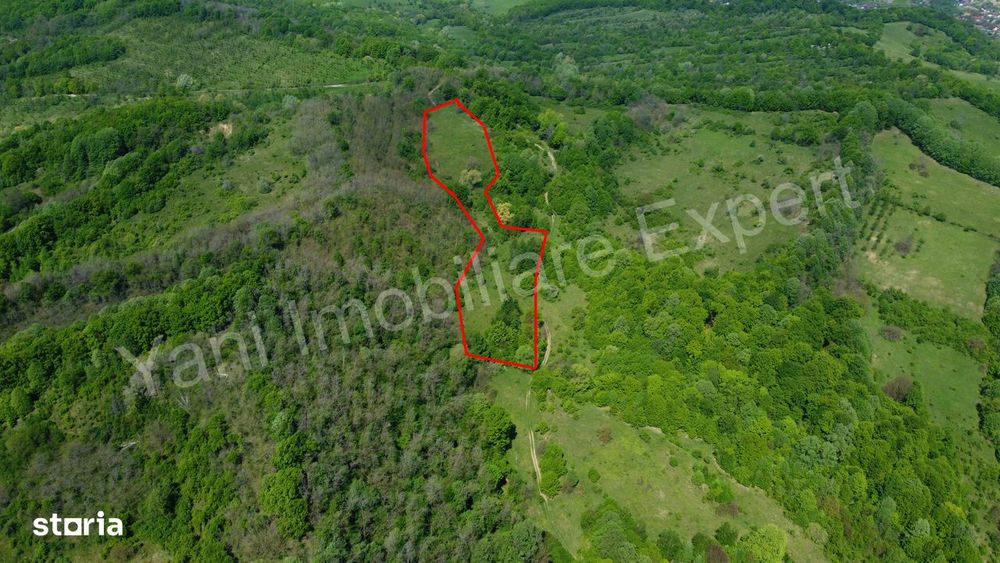 Teren 19.452 mp de vânzare în Curtea de Argeș.