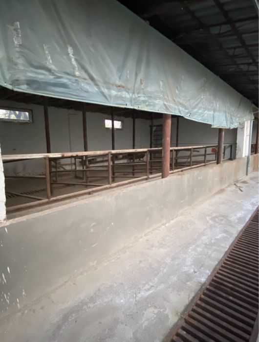 Срочно Продаётся Готовый Бизнес