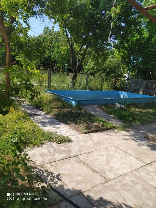 Продам дачу в горах Узбекистана