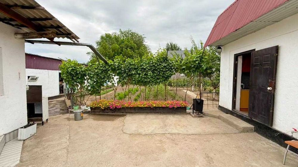 Дом новстройка, Танат империя