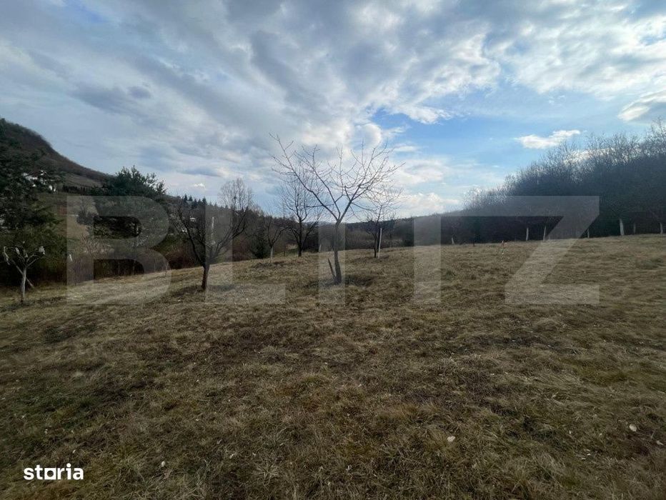 Teren Extravilan, 2526 mp, zona Slatinitei