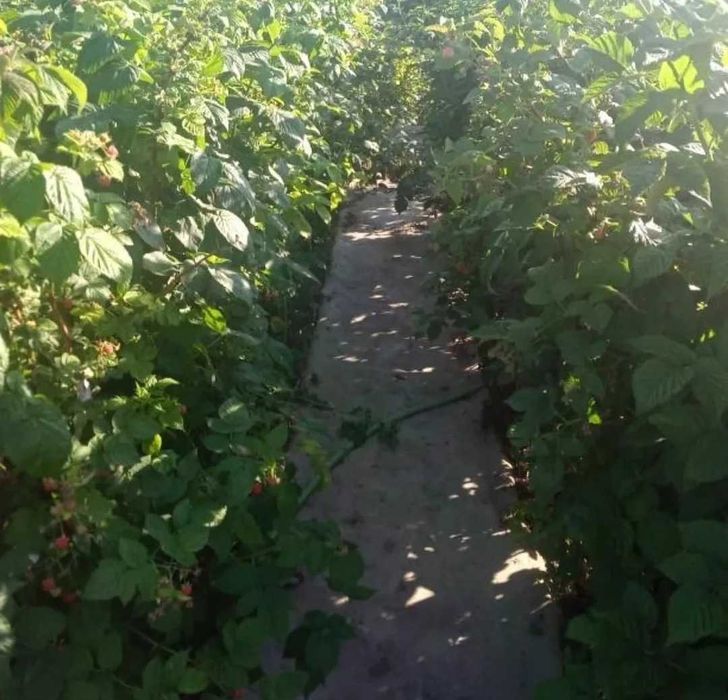 Продается дача в районе Кривое озеро. 6.6 соток