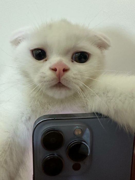 Звоните всё обсудим