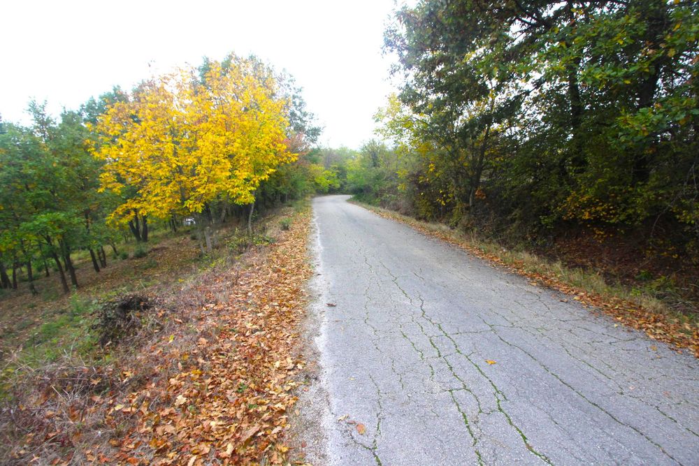 Продава се Парцел в с. Костенковци, Област Габрово - 4448 кв.м за 3 €/кв.м - Снимка #2