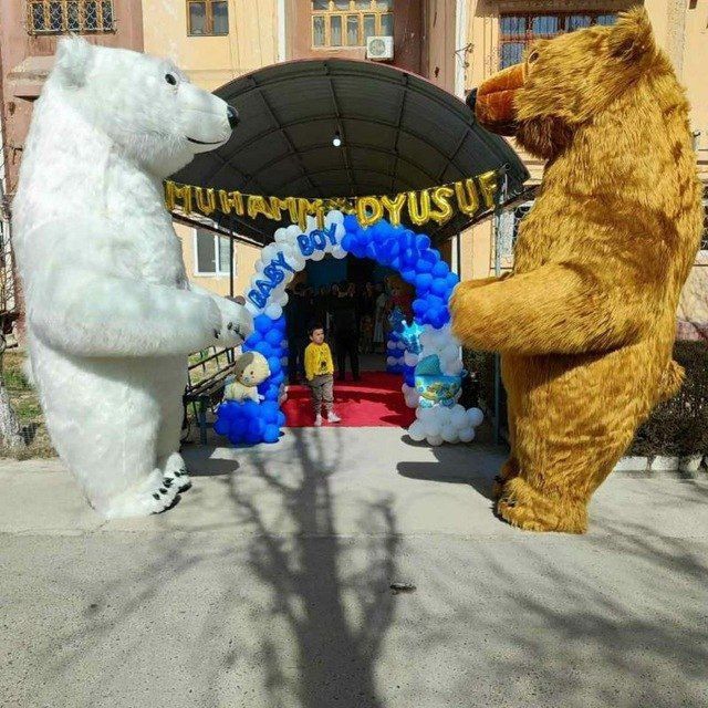 Оформления на шар Afarmelena Ayiqlar Video Foto Mers 222