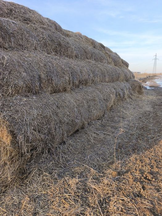 Продам салому в рулонах и мешками сабан