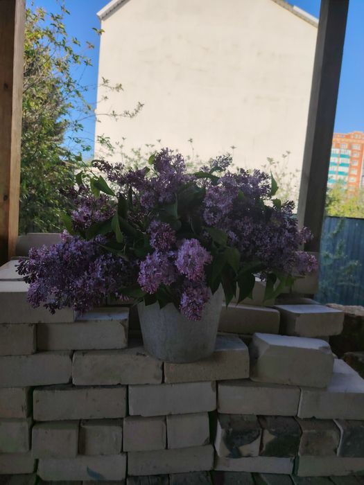 Букет из сирени,