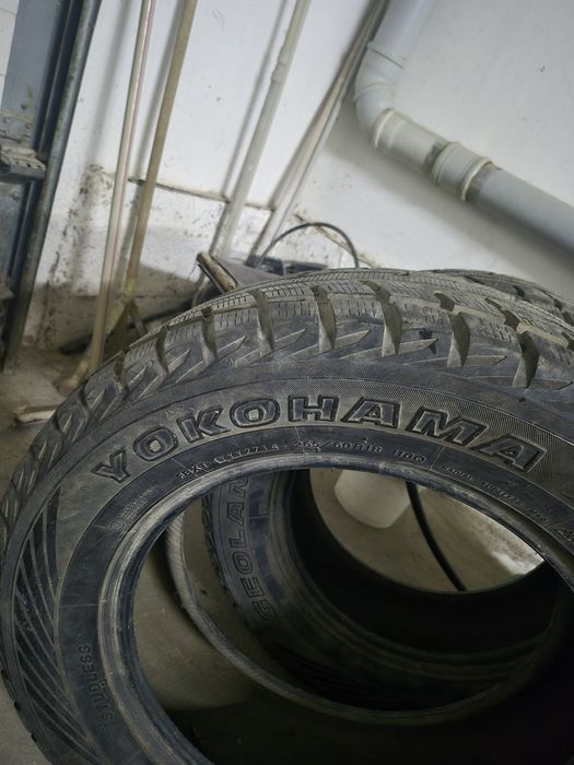 Покрышка roadstone