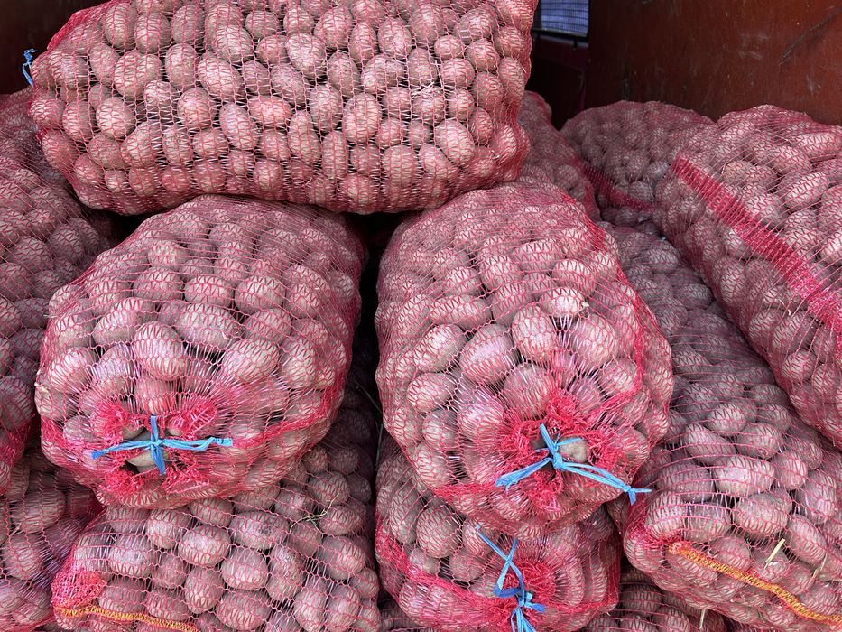 Vand cartofi de samanta