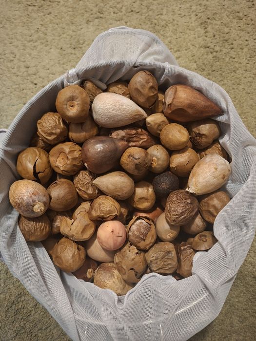 Vand samburi Avocado