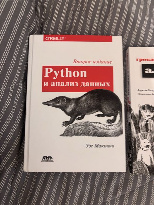 Книги по Python и алгоритмам — 2 книги