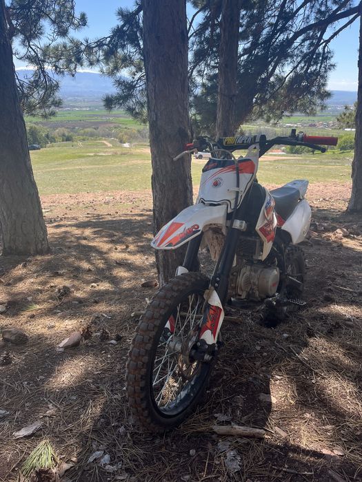 Kayo tt140cc 2022