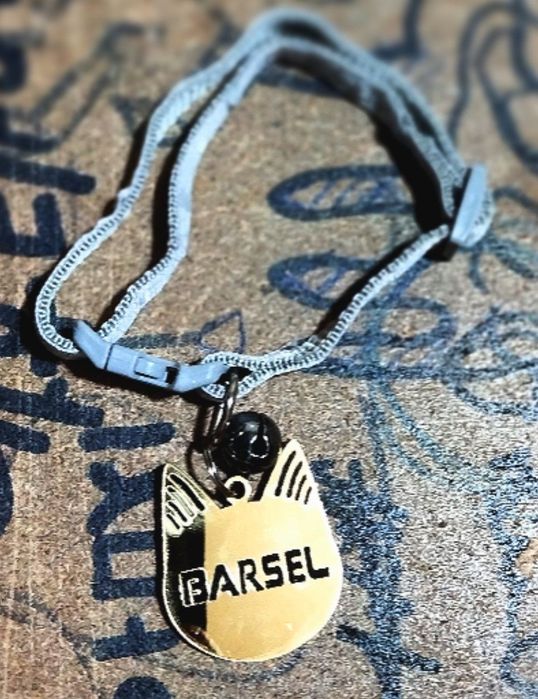 Mushuklar uchun isimli buyibog'lar  sotiladi