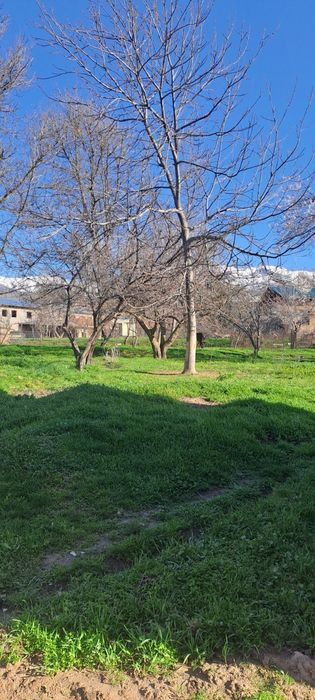 OQ TOSH 12 SOTIX YER SOTILADI xujjati joyida