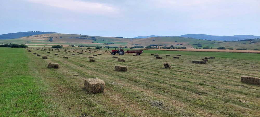 Vand baloți de fan !