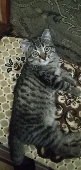 Не серьёзных просьба не беспокоить Девочка и мальчик 3 месяца.