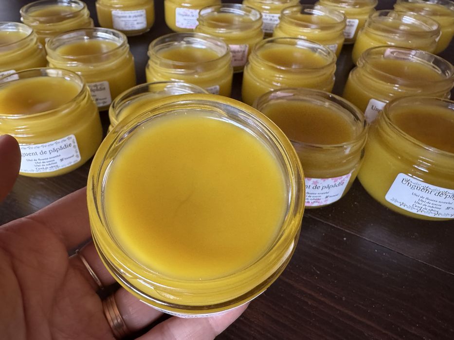 Unguente 100% naturale facute in casa