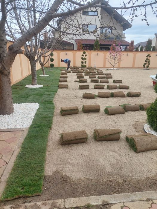 Amenajări grădini gazon și plante ornamentale