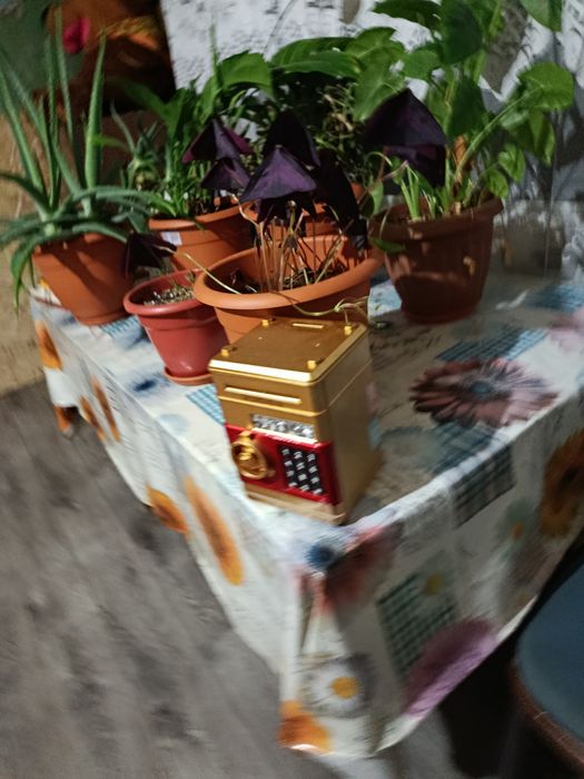 Продаем сейф копилку