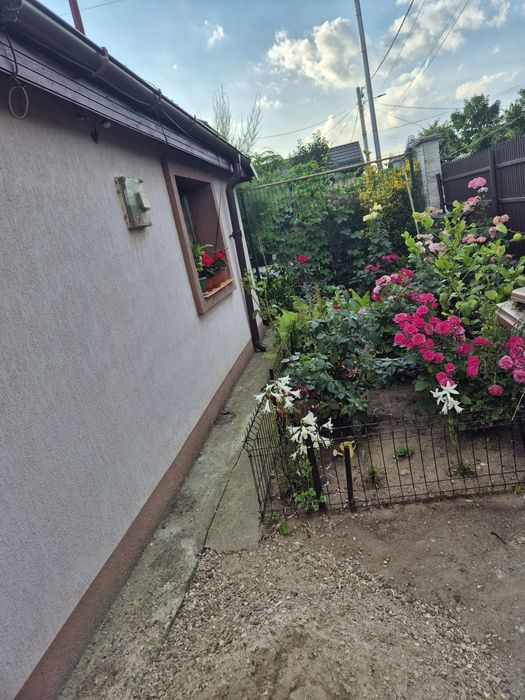 Casa de vânzare 4 camere