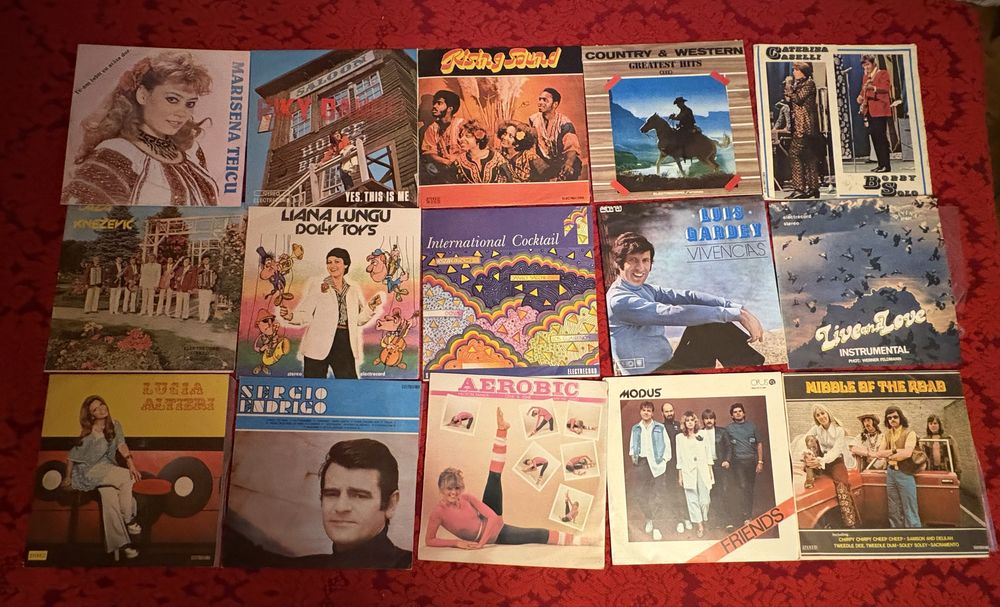 Discuri vinil de colectie