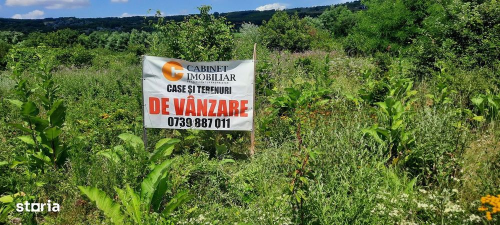 Teren Intravilan  Tomesti,Osoi,2800 Mp - 49.500 Euro