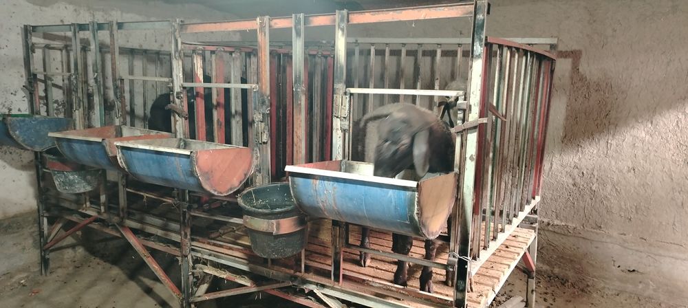 Куйхона сотилади 1.5га 1.5 кантанер