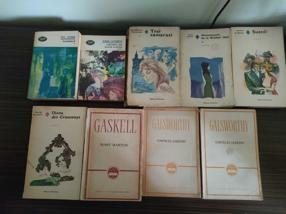 Lot de cărți + discuri vinil