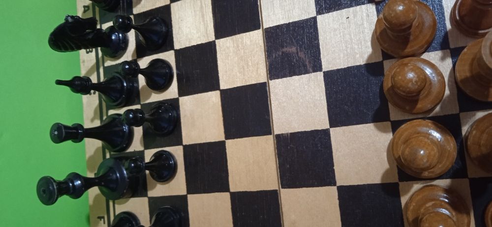 Игры для детей и взрослых: Шахматы, Лото, Домино