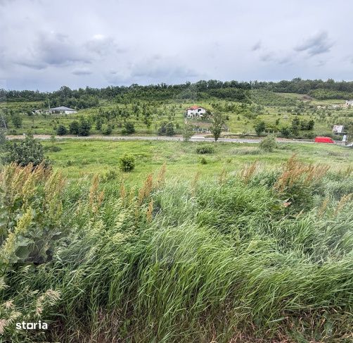 Teren intravilan, 1250mp , Zona Lebada- Botosani