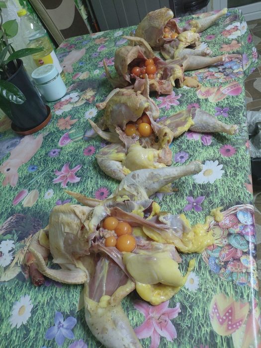 Găini de  casă  de vânzare