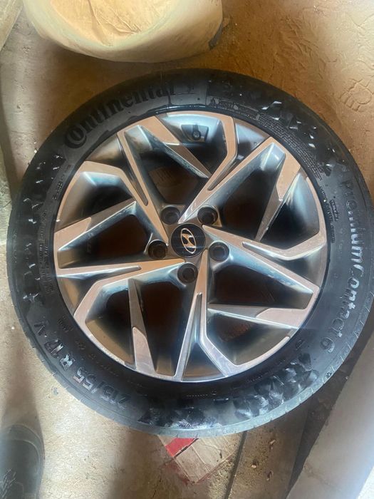 17 донгелек новый